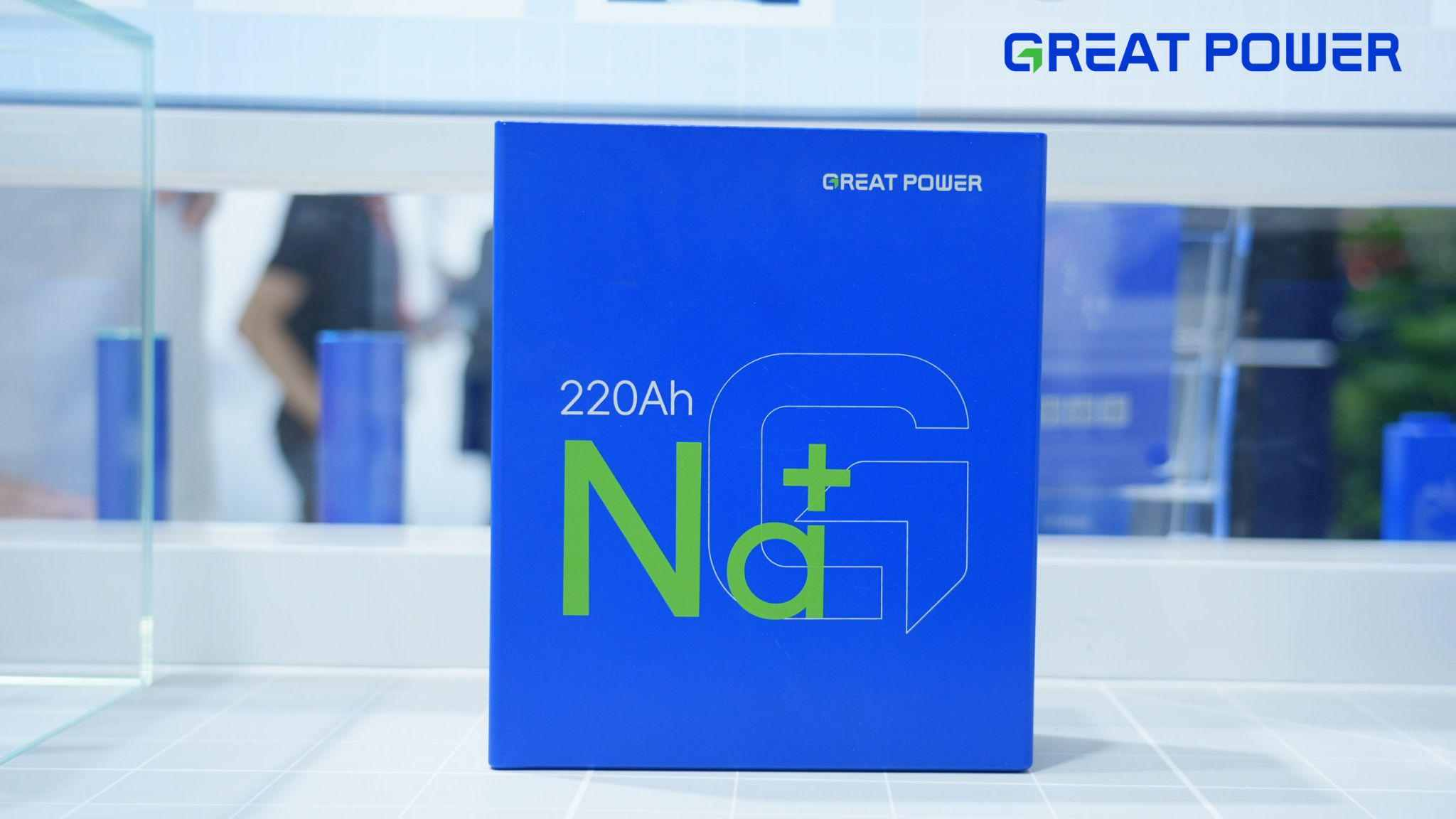 How Global Green Policies Impact Chinese Battery Manufacturers
